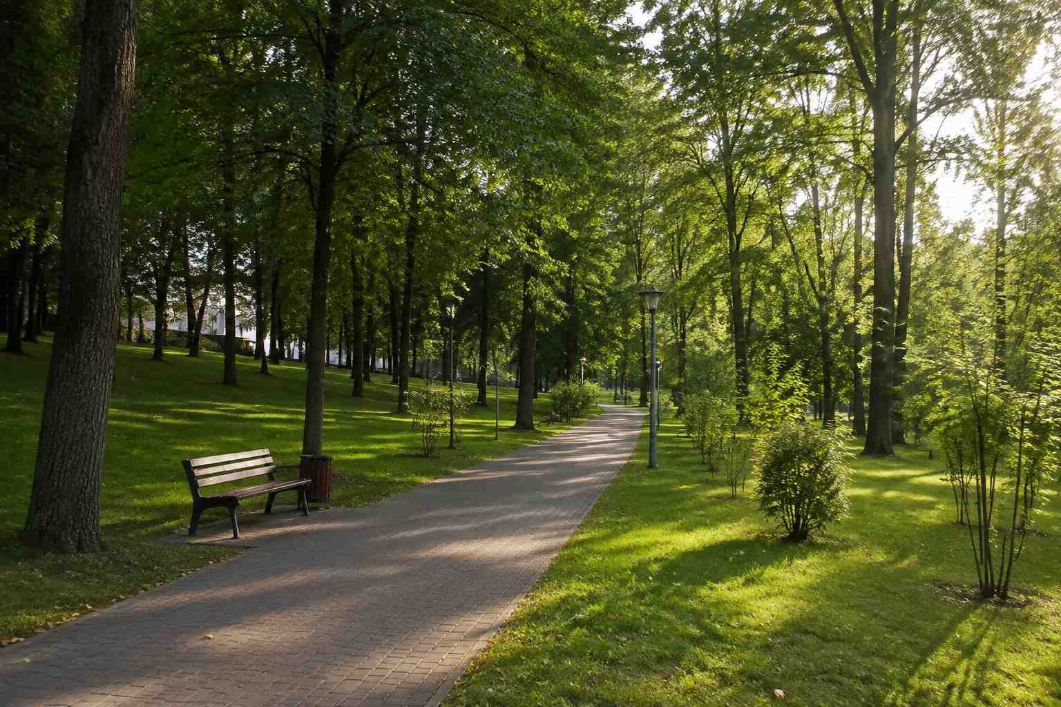 https://odincovo.blago-s.ru/storage/app/uploads/public/6a7/eef/ed2/6a7eefed2af22038960370.jpg